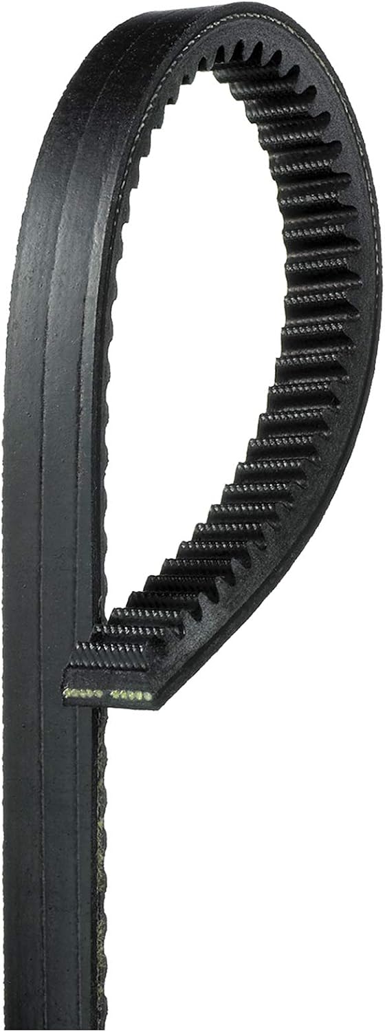 Cinturón Tri-Power BX64