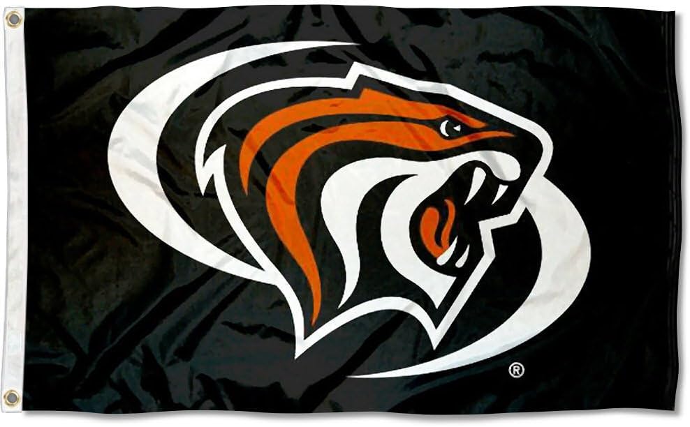 Bandera negra Universidad de los Tigres