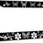 Marco matrícula mariposa acero inox 12x6" 2 Uds