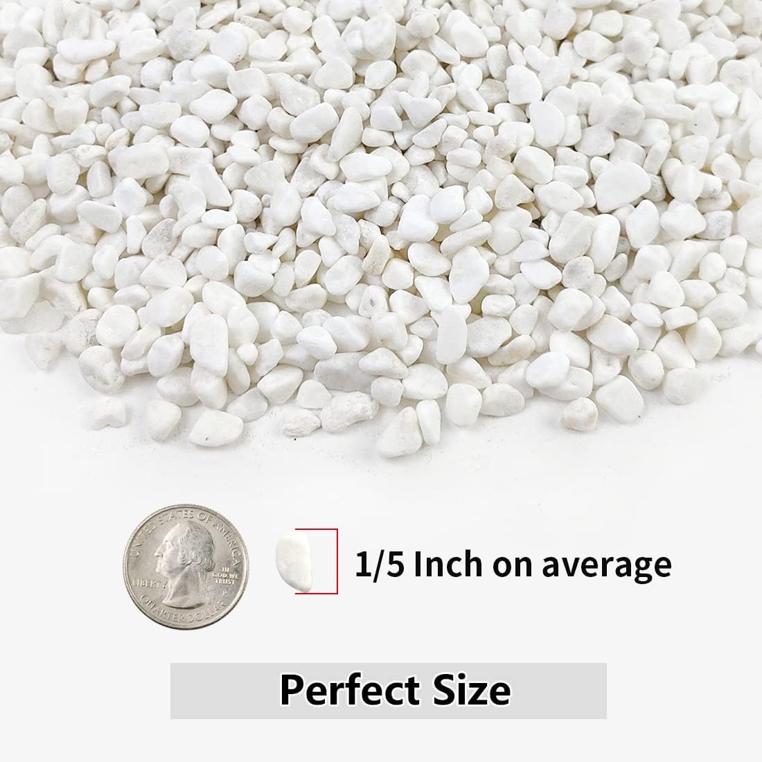 Piedras grava blancas 5lb para suculentas cactus decorativas