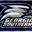Bandera Georgia Southern Eagles azul 3x5 exterior