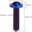 Tornillos Torx Titanio M8 1.181pulg 4uds azul tostado