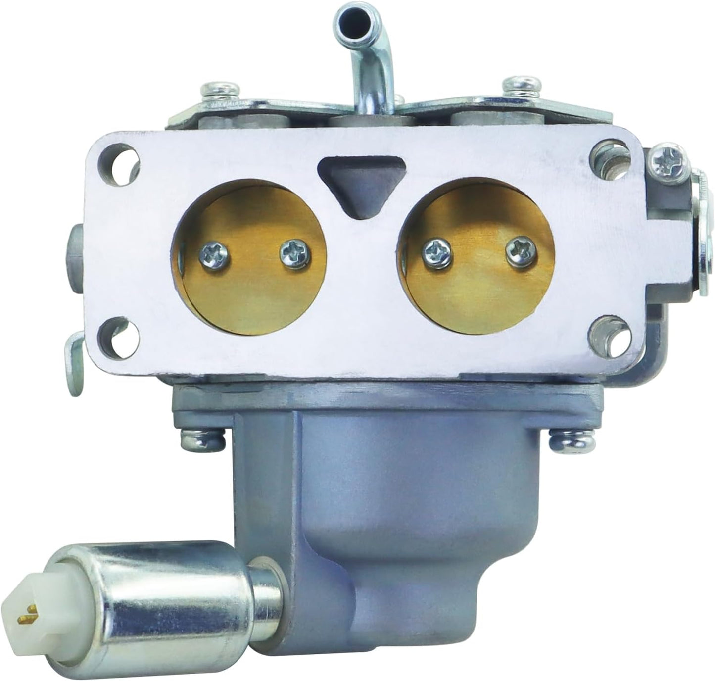 Carburador para BSV-Twin 20-25HP con bomba combustible