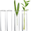 Accesorios vidrio terrario colgador plantas floreros decoracion