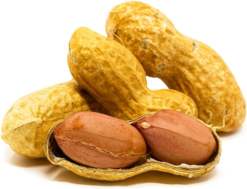 Cacahuetes jumbo sin sal en cáscara 4 libras