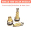 Vástagos válvula sin cámara aire tractores pack 2