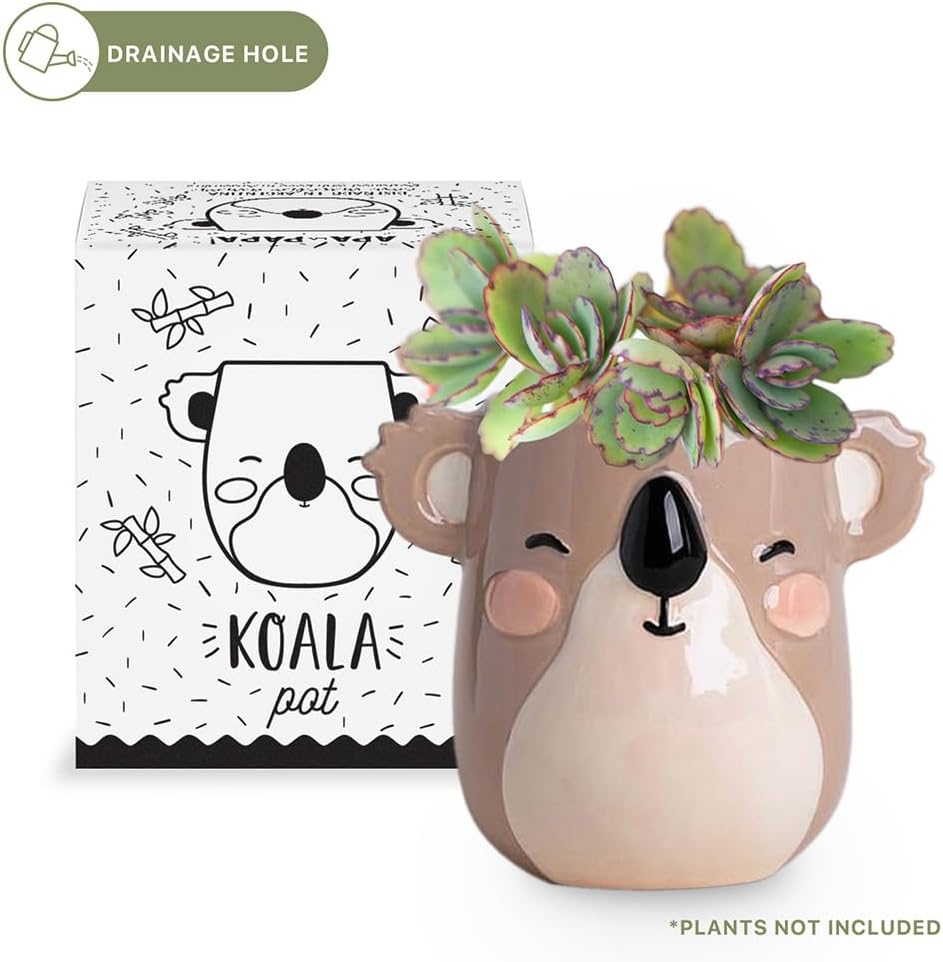 Maceta cerámica koala 7.6x7.6x10.2cm drenaje cómodo