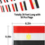 Bandera Egipto mini para fiestas escuela eventos