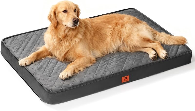Cama ortopédica perros XL 41x27pulg antiderrap gris
