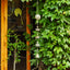 Tetera y tazas 40pulg campanilla lluvia pátina verde