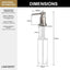 Dispensador jabón cromado cocina bomba latón botella 18oz