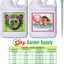 Set Fertilizantes Hidropónicos Big Bud 8.5oz