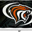 Bandera negra Universidad de los Tigres