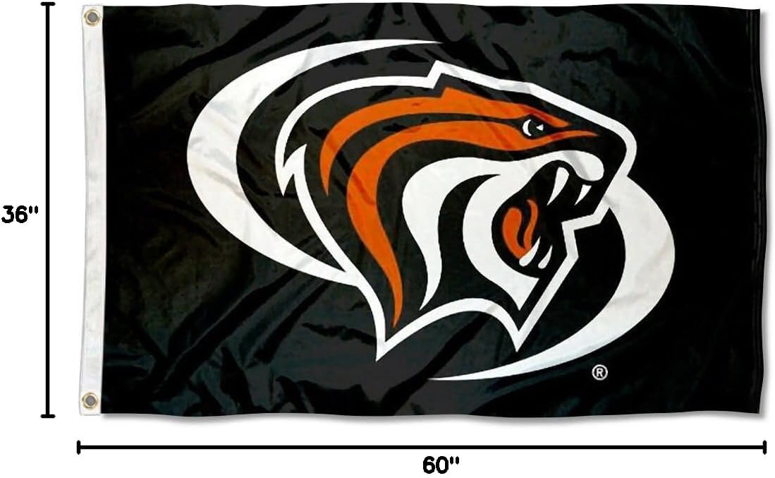 Bandera negra Universidad de los Tigres