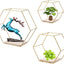 Estantes flotantes hexagonales dorados set 3