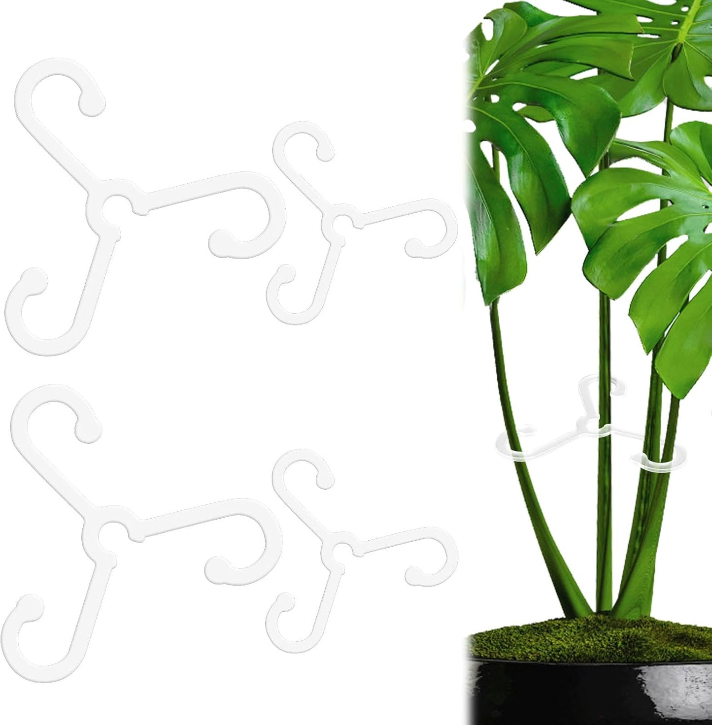 4 Soportes Tallos Plantas Acrílico Reutilizable 2 Tamaños