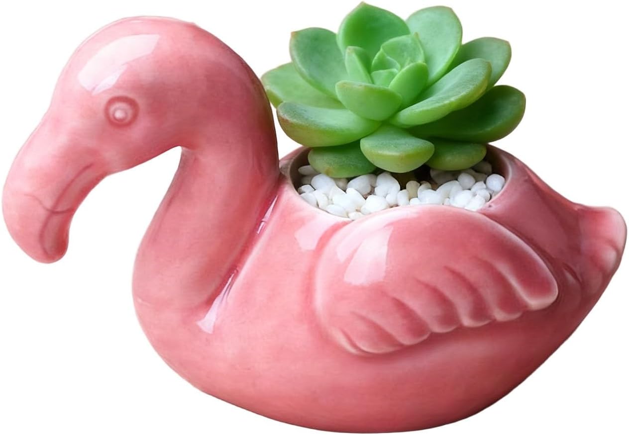 Maceta cerámica drenaje suculentas cactus decoración