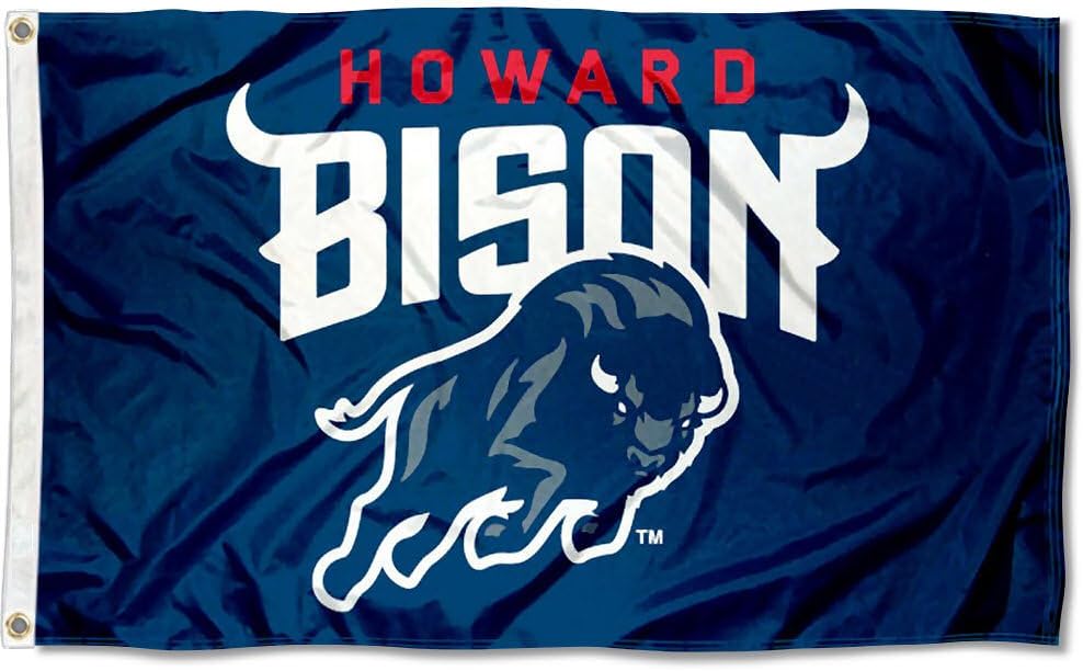 Bandera universitaria grande con logotipo 3x5