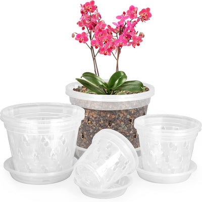 Maceta plástico transparente para orquídeas 3-6" set 8