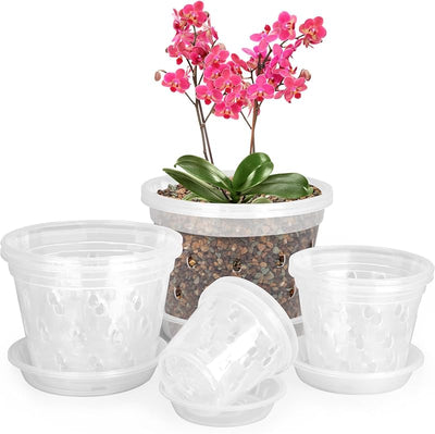 Maceta plástico transparente para orquídeas 3-6" set 8