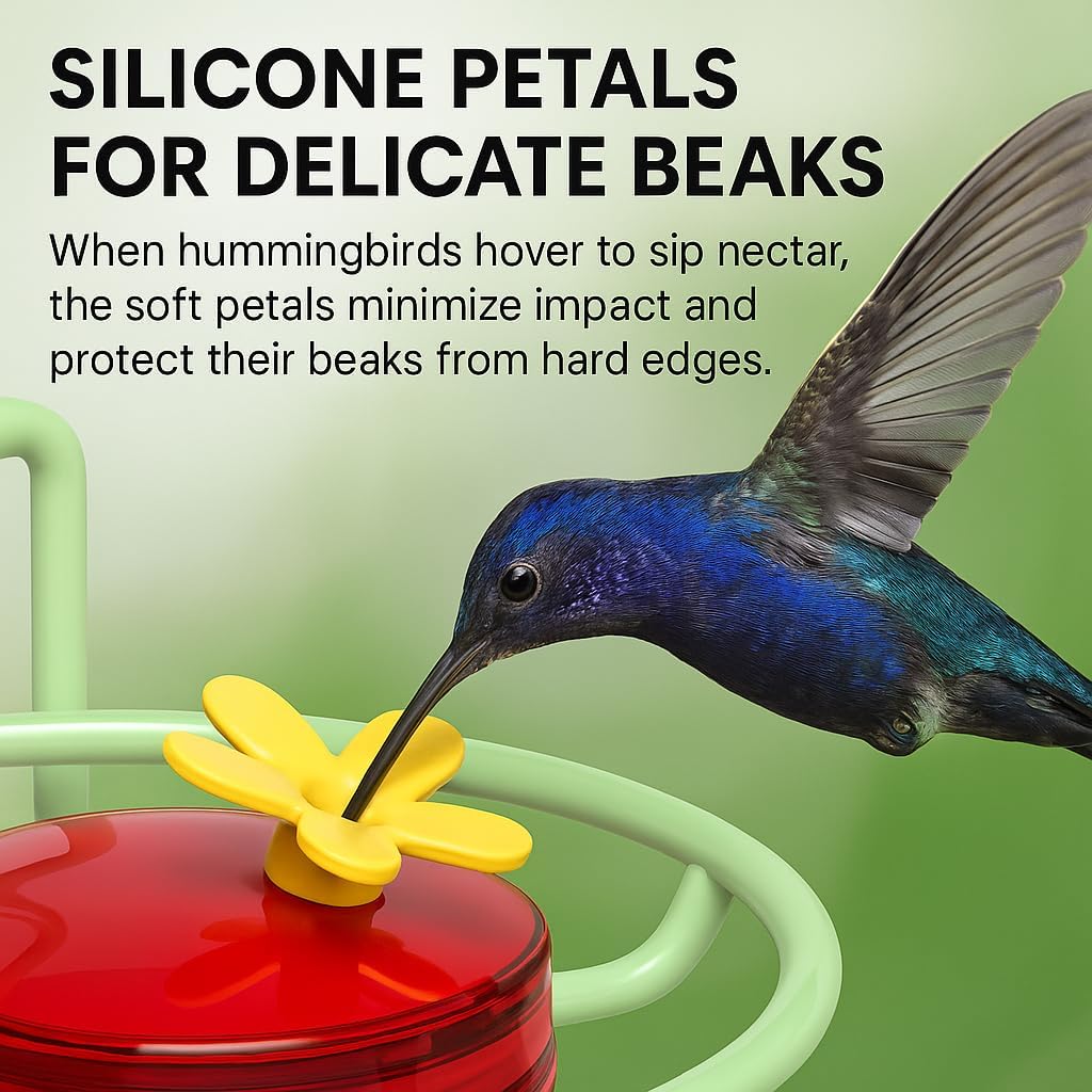 Comedero colibríes ventanal 6 puertos metal ventosa