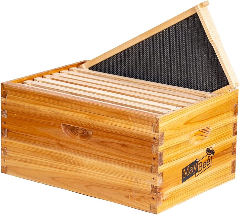 Caja colmena 8 marcos Langstroth encerados sin montar