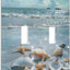 Placa decorativa interruptor doble conchas mar 2 cuadras