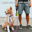 Correa perro 6ft acolchada reflectante con dispensador