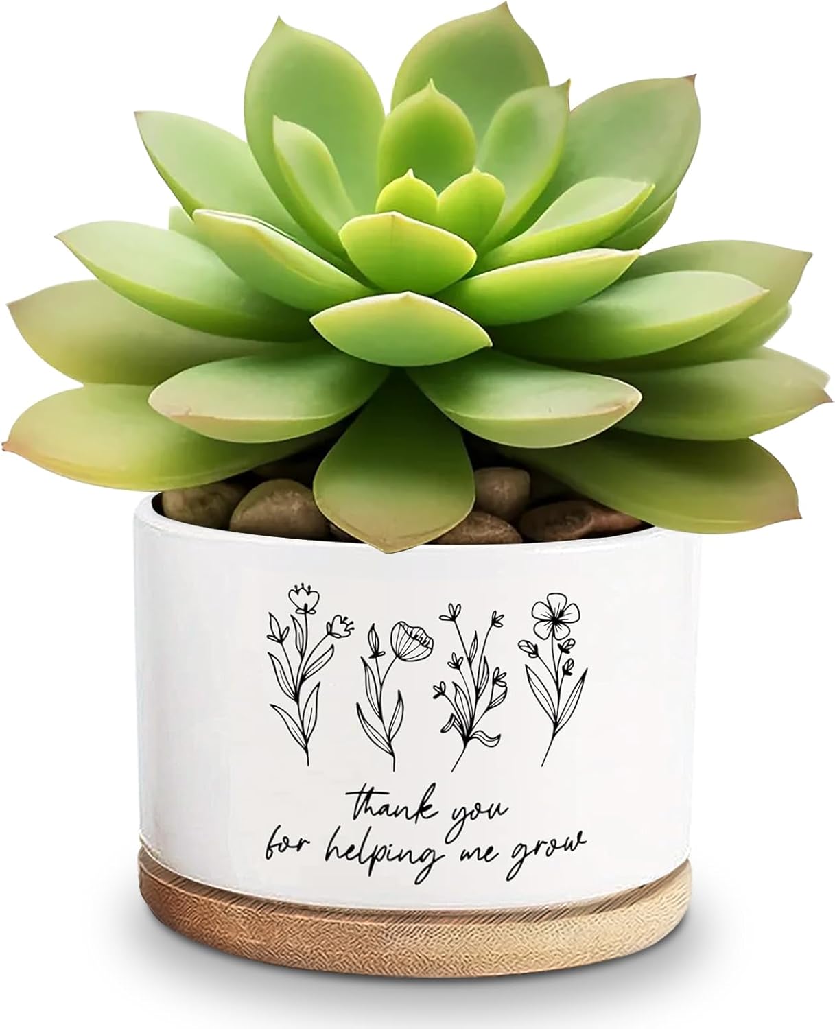 Macetas cerámica para suculentas 3.6" regalo plantas