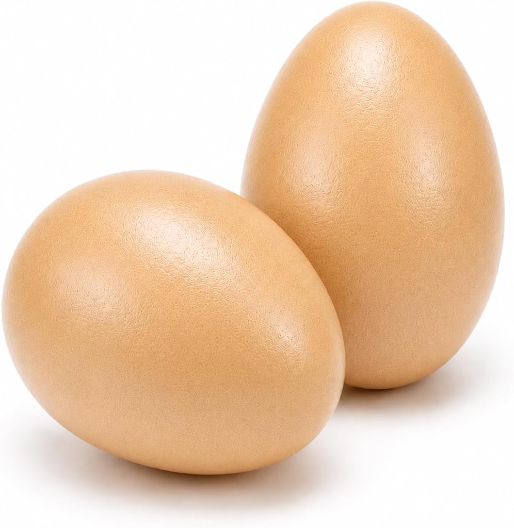 Huevos madera falsos para entrenar pájaros color marrón pack 2
