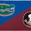 Pancartas FSU Seminoles vs UF Gators 3x5ft poliéster