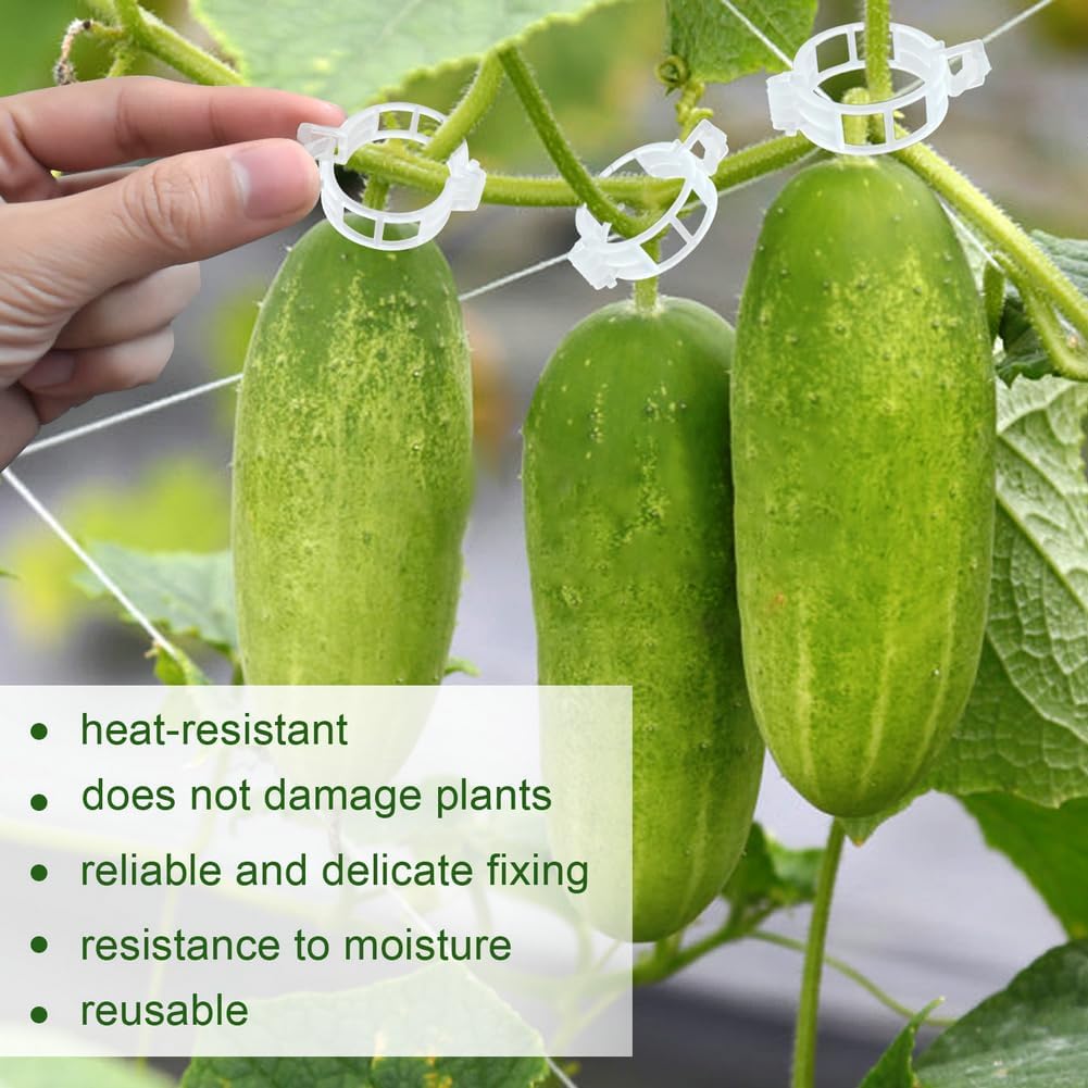 200 Clips Jardín para Tomate Pimiento Berenjena Cultivo Vertical