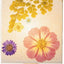 Lámpara Mesa Flores Secas LED 5W Cuadrada Madera