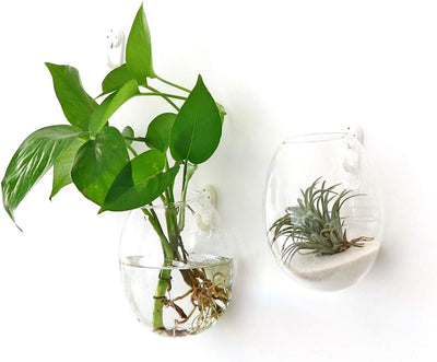 2 Macetas Colgantes Oval Vidrio Borosilicato para Pared