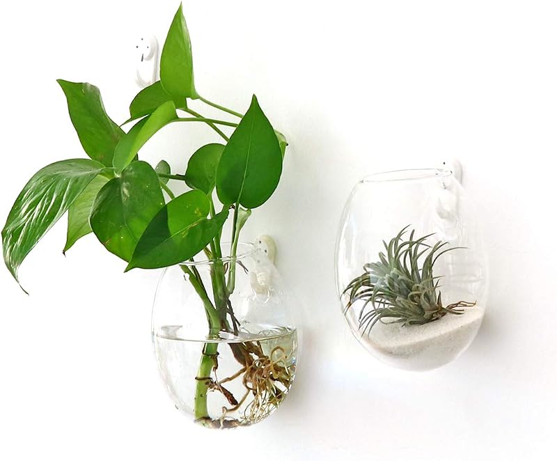 2 Macetas Colgantes Oval Vidrio Borosilicato para Pared