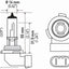 Bombillas halógenas H10TB 12V 45W