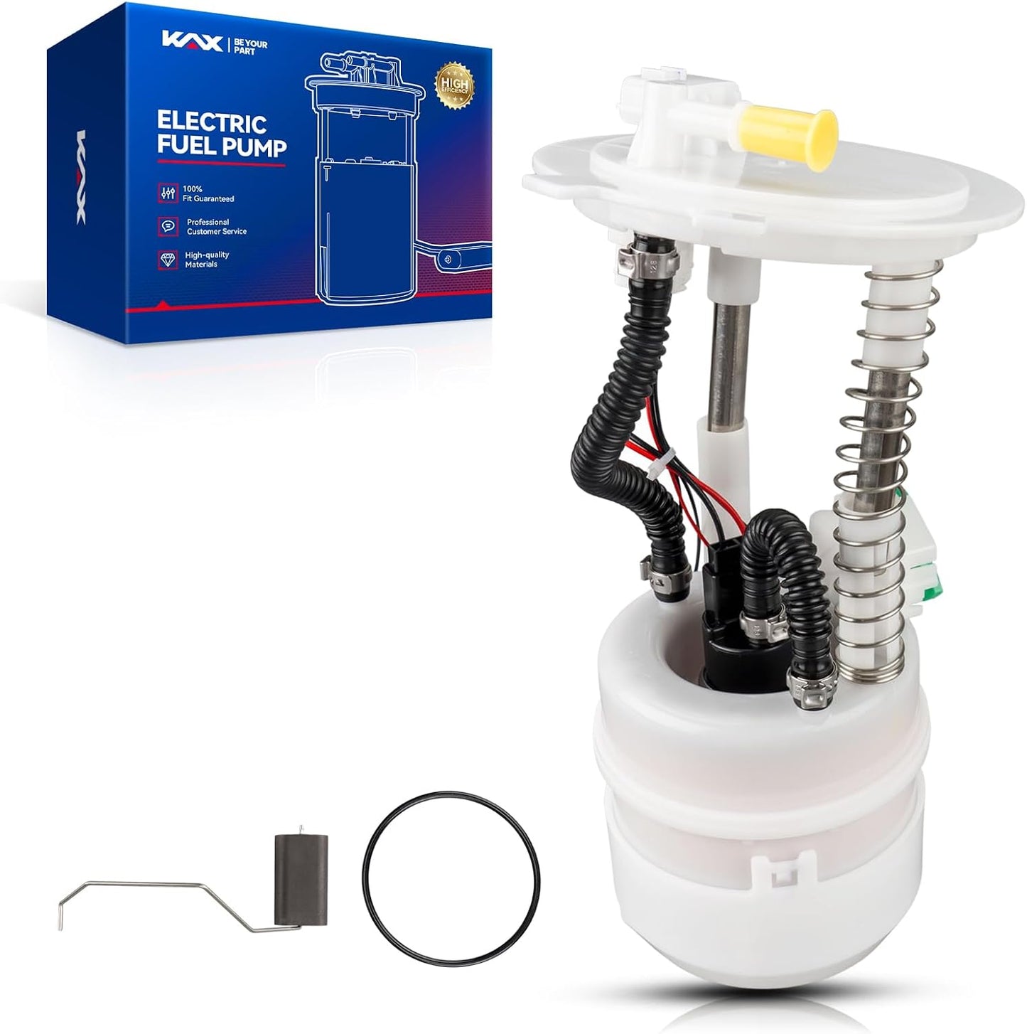 Conjunto bomba combustible eléctrica comp Rogue 08-15