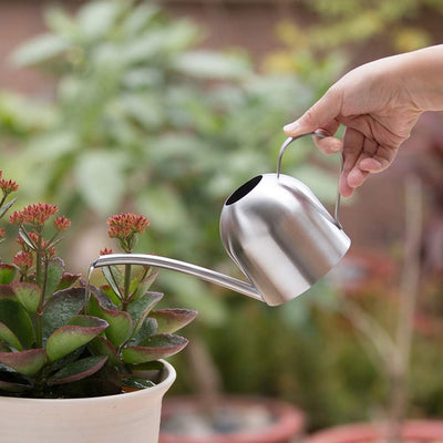 Regadera acero inox para plantas 15oz