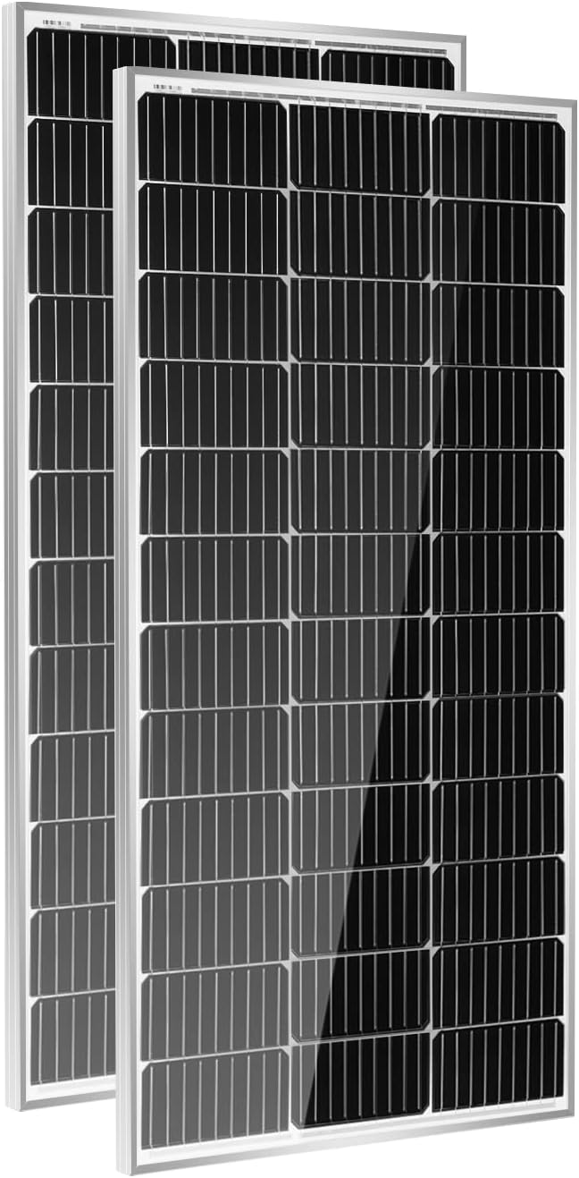 2 Paneles Solares Monocristalinos 100W 12V Alta Eficiencia