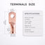 10 Terminales Anillo 4 AWG-1/4pulg M6 para Batería