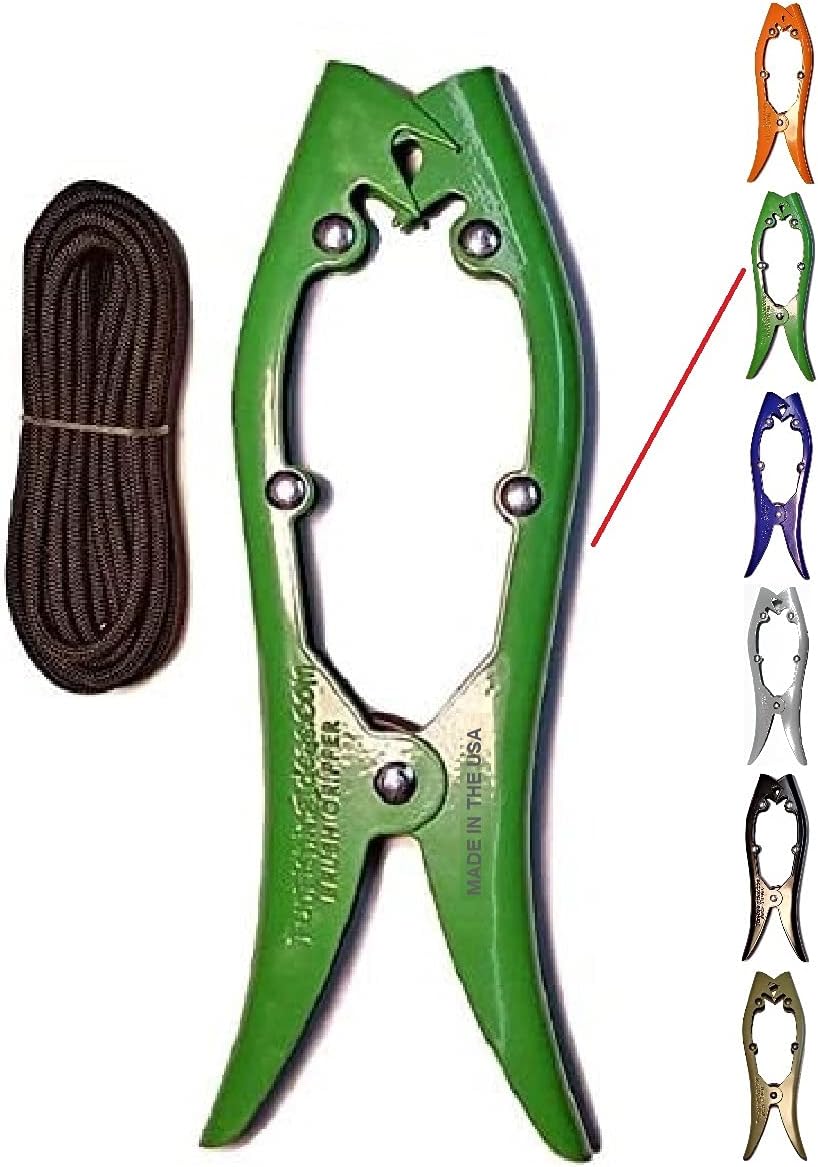 Pinza cepillo para kayak canoa barcos 22pulg verde