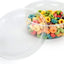 Combo 20 Contenedores PET 8oz Tapa Plana Ultra Transparente