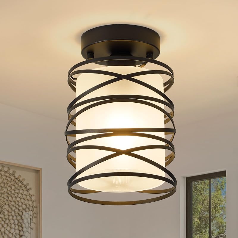 Lámpara techo 1 luz jaula metal vidrio esmerilado moderna
