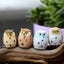 Mini búhos decoración jardín hadas macetas bonsái