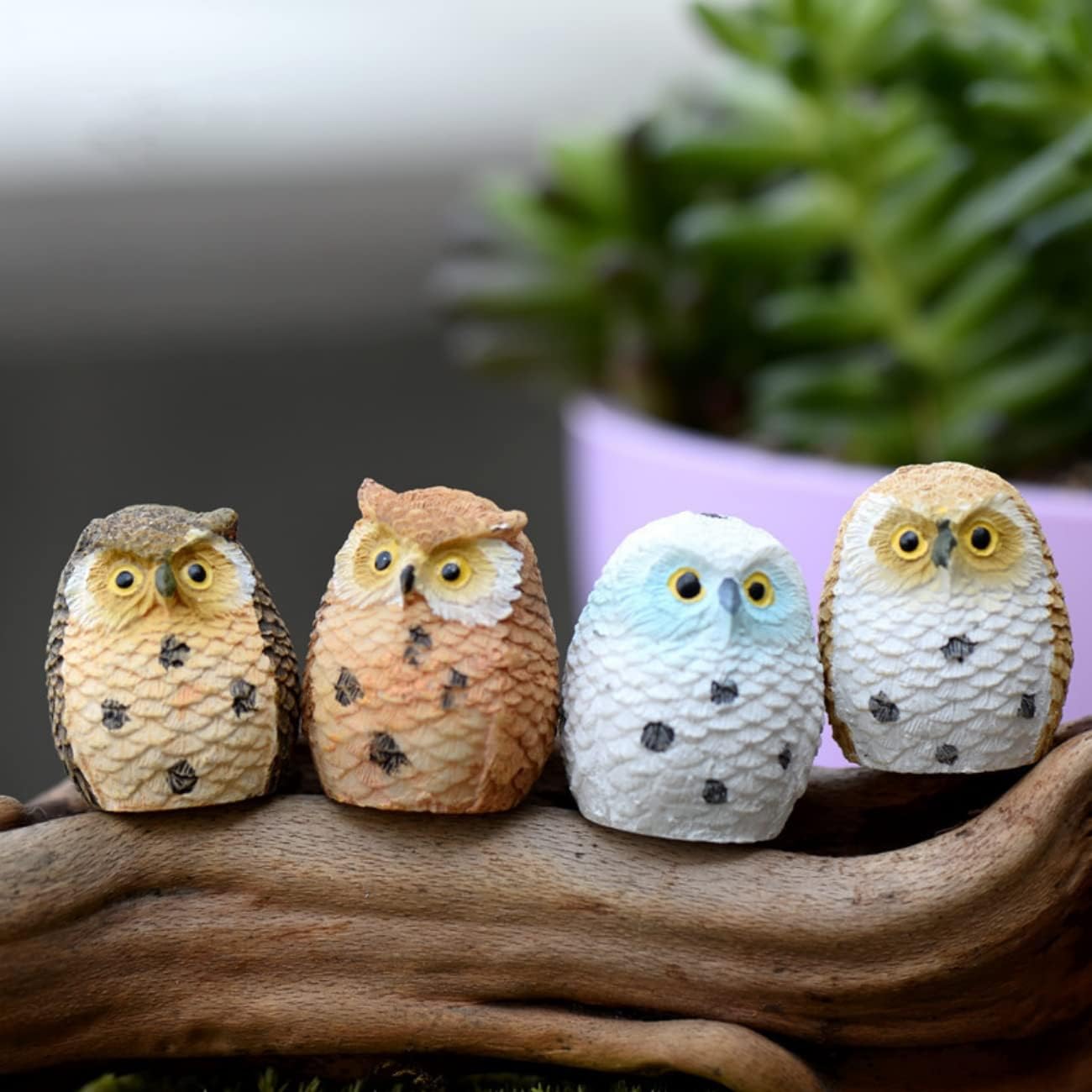 Mini búhos decoración jardín hadas macetas bonsái