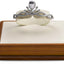 Soporte joyería madera anillo pendiente pulsera blanco