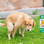 2 Letreros Doble Cara 8x12" Woof Limpia Después Perro