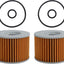 Set 2 Filtros Aceite con Juntas Tóricas