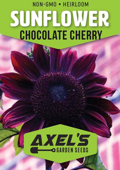 Paquetes semillas girasol cereza chocolate jardín hogar sin OMG