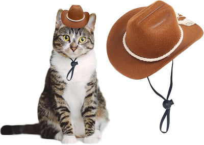 Sombrero vaquero perros gatos fiestas Halloween café estilo 3